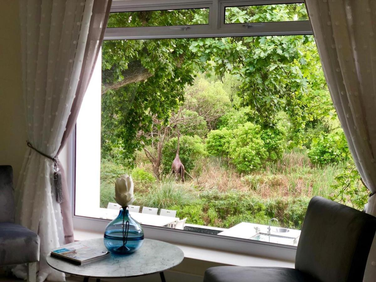 Badgemore Villa Guesthouse Cape Town Bagian luar foto